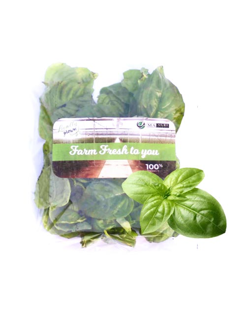 Farm Fresh Basil Leaves Tulsi Buy Online in Lahore Naturals