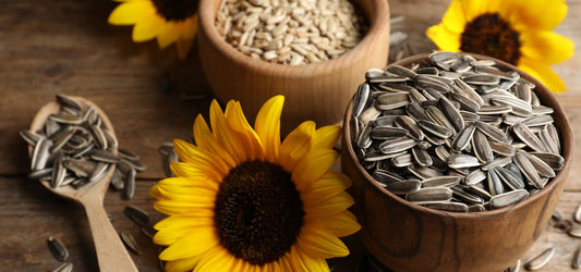 Sunflower Seeds With Shell