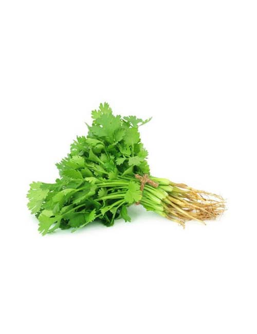 Coriander Leaves - Naturals