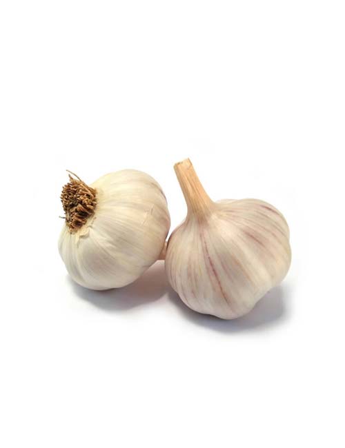 Garlic China - Naturals