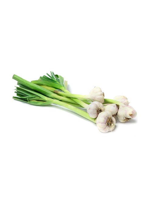 Green Garlic - Naturals