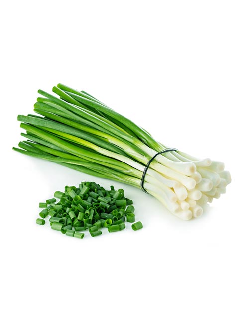 Green Onion - Naturals
