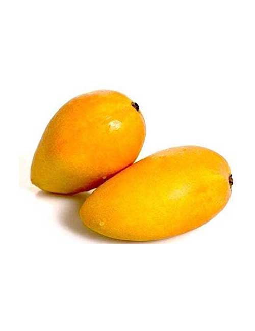 Mango White Chonsa - Naturals