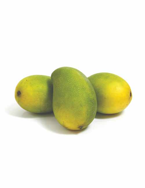 Mango Sindhri - Naturals